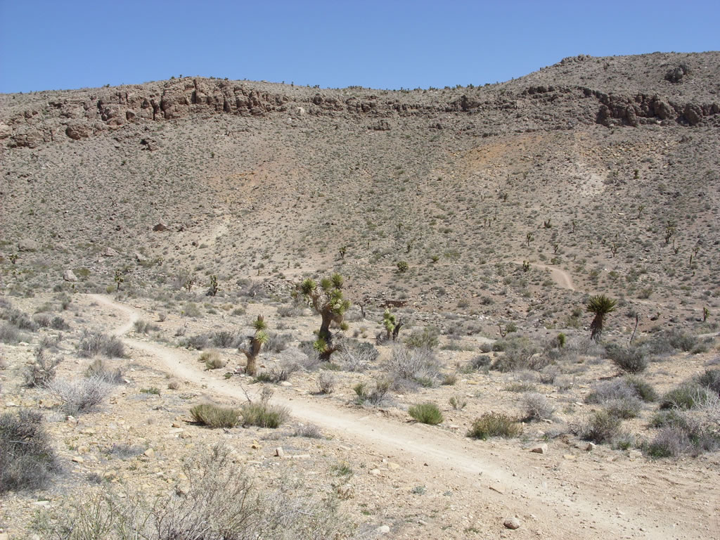 SN850425.jpg