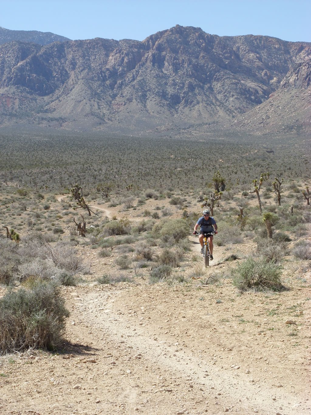 SN850435.jpg