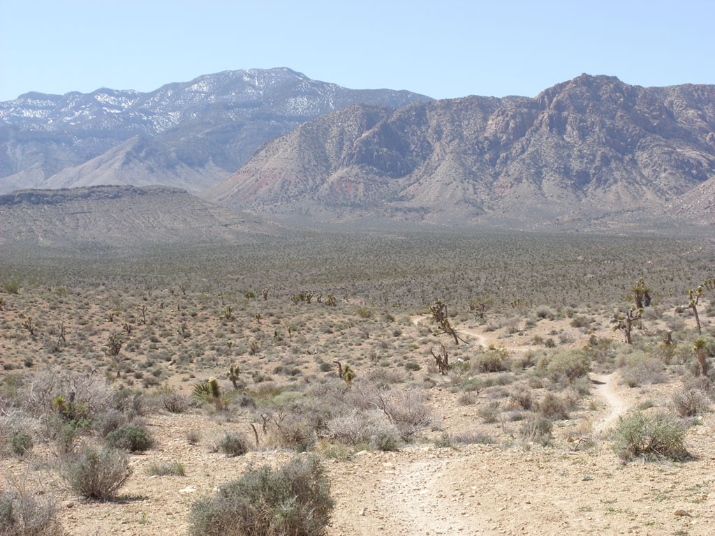 SN850441.jpg