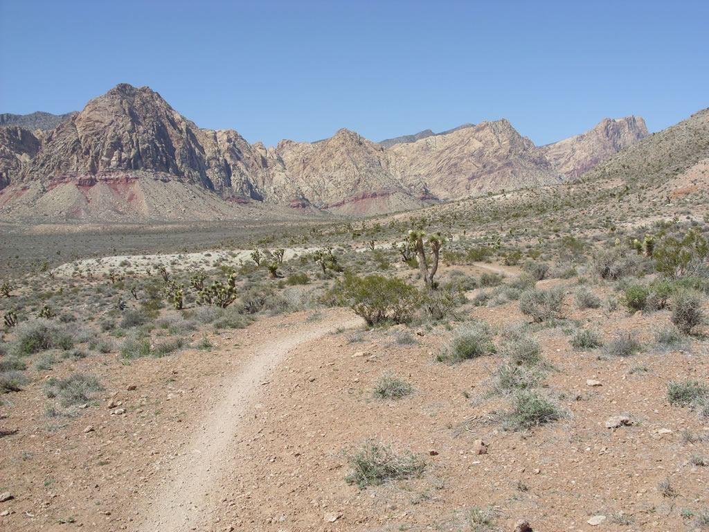SN850443.jpg
