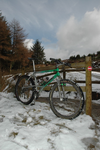 Alien Llandegla 2008