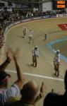 Celebrations