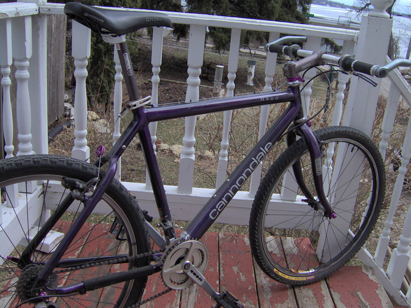 cannondalem900