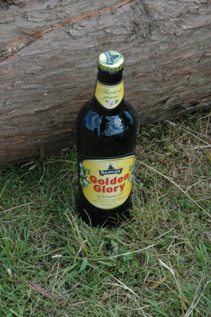 Nobby's beer