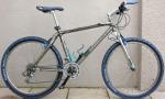 Raleigh Torus Titanium