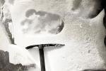yeti_photo2007