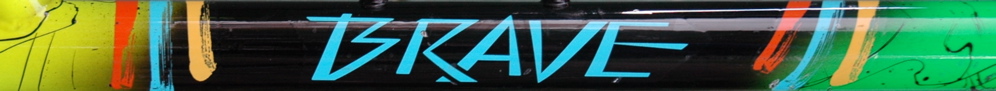 Brave Logo