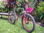 1990 Litespeed (Small)
