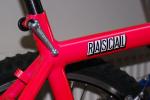 Rascal2