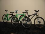 green to black rascal 022