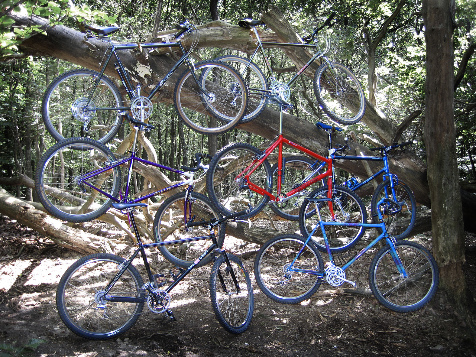 Classic Rides Tree