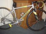 Giant TCR