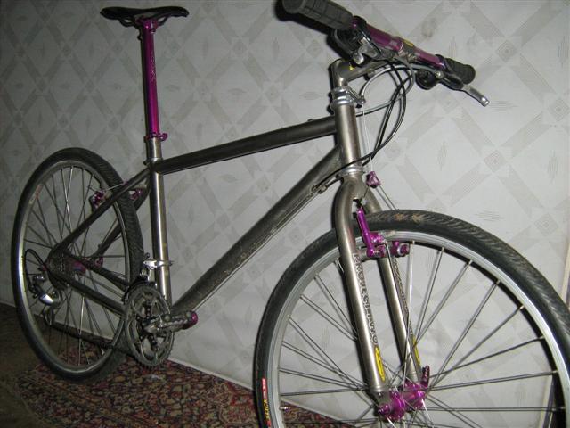 shiat 059 (Small)