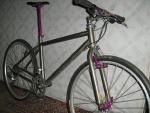 shiat 059 (Small)