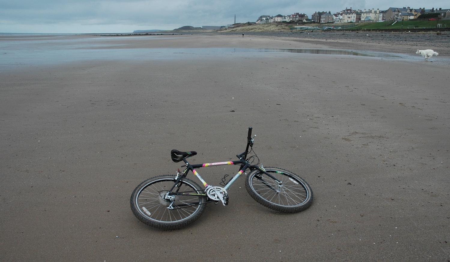 Beachcomber