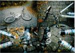 Alpinestars_AlMegaXT_19981
