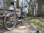 Saracen-Tourer - First-Ride (2)