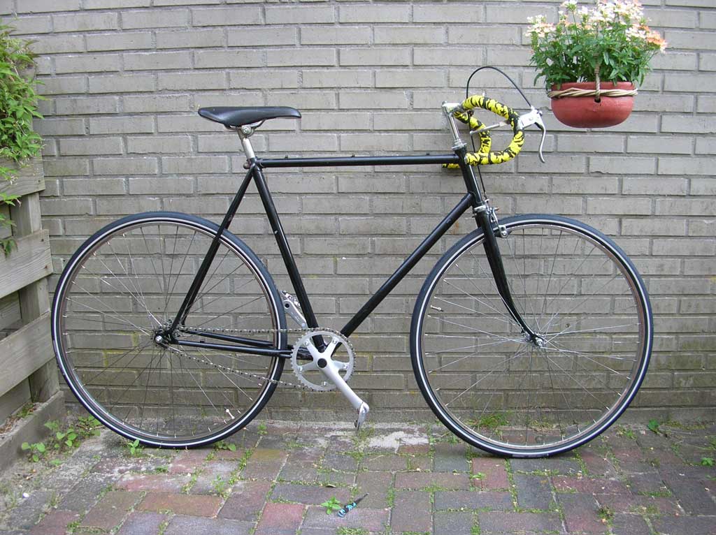 1980-Professional-Fixed