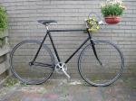 1980-Professional-Fixed