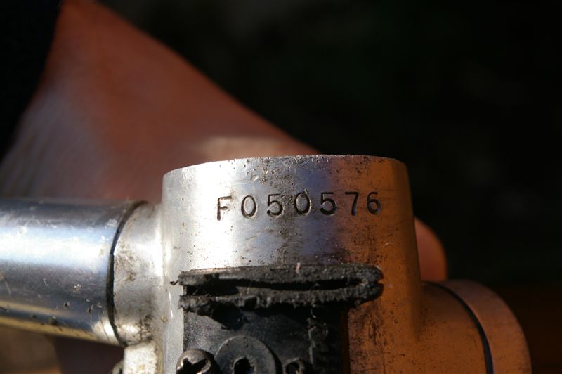 IMGP0810