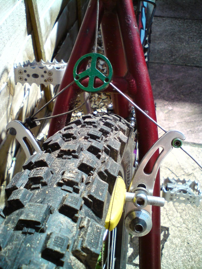 campycanti
