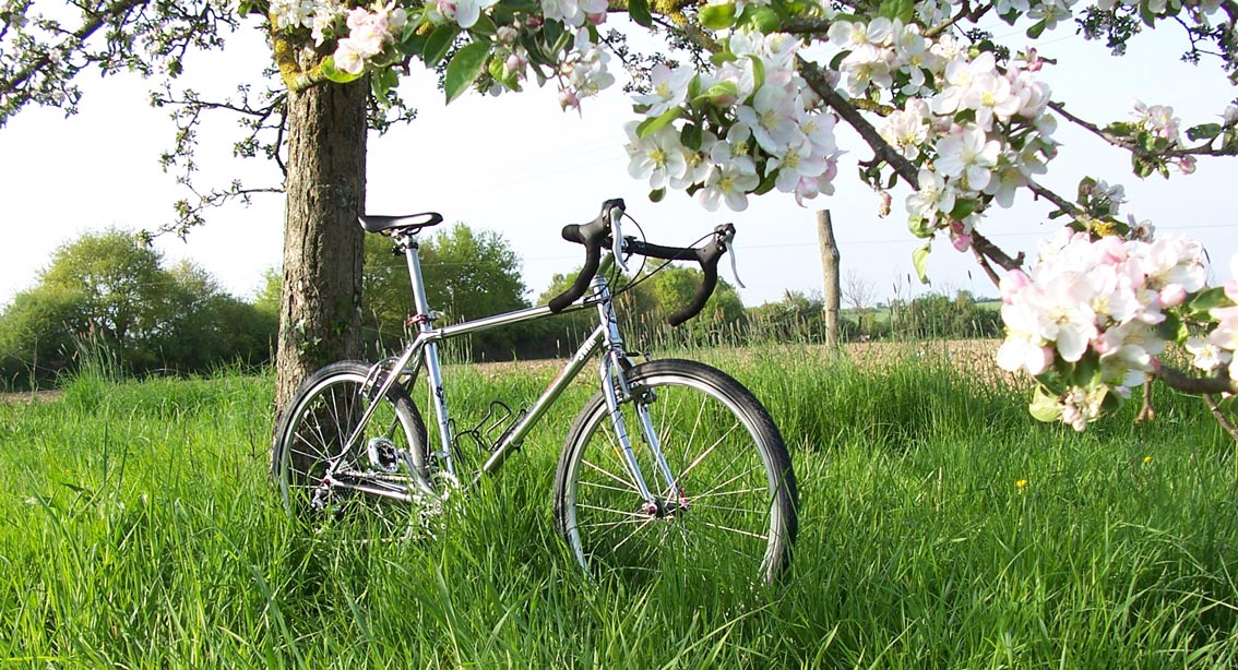 cyclo-sunn