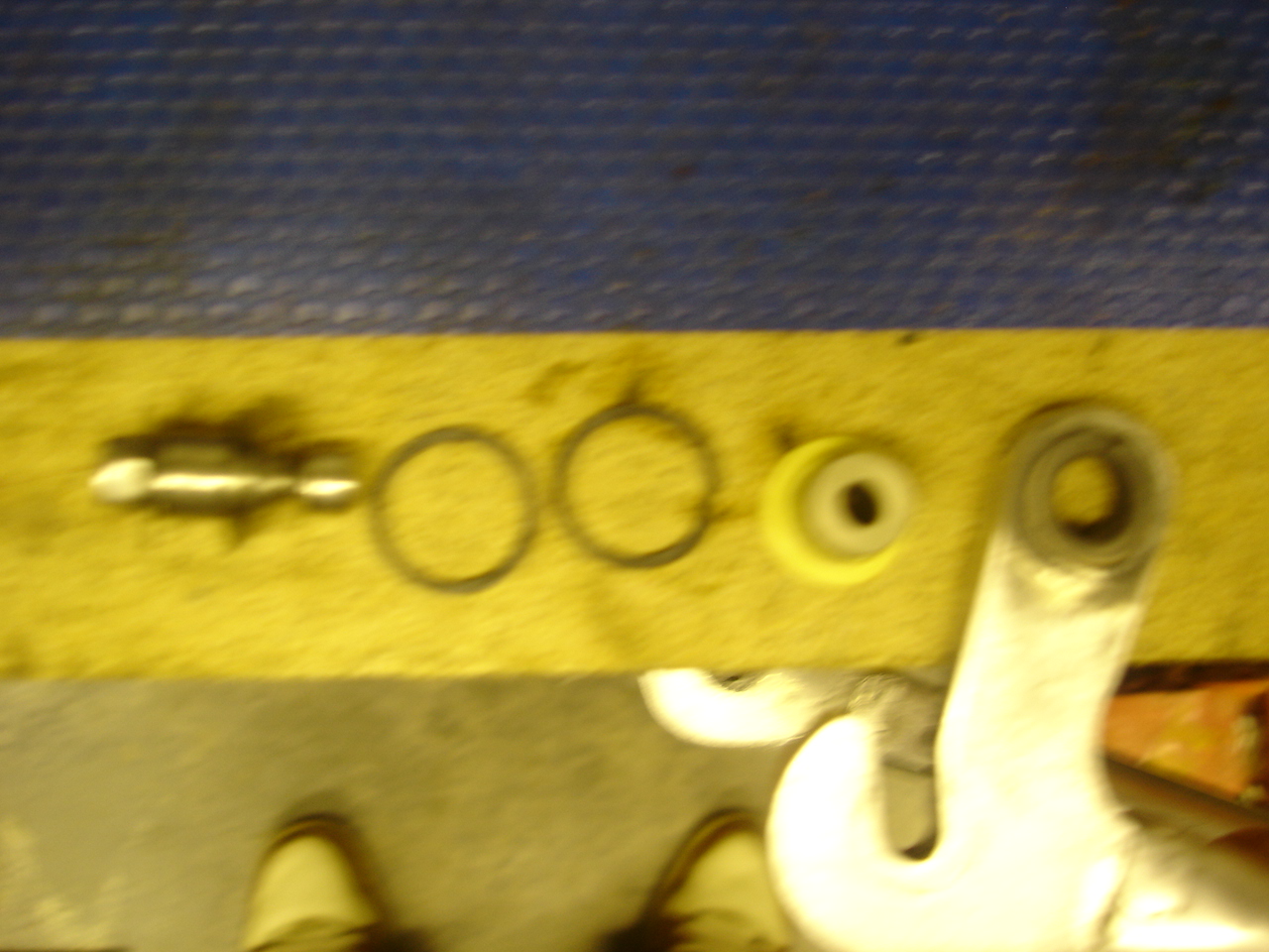 spesh fsr bushes 010