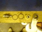 spesh fsr bushes 010