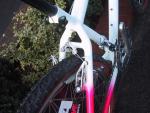 Random Rides
