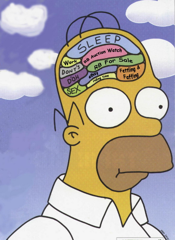Homer_RetroBike_Brain
