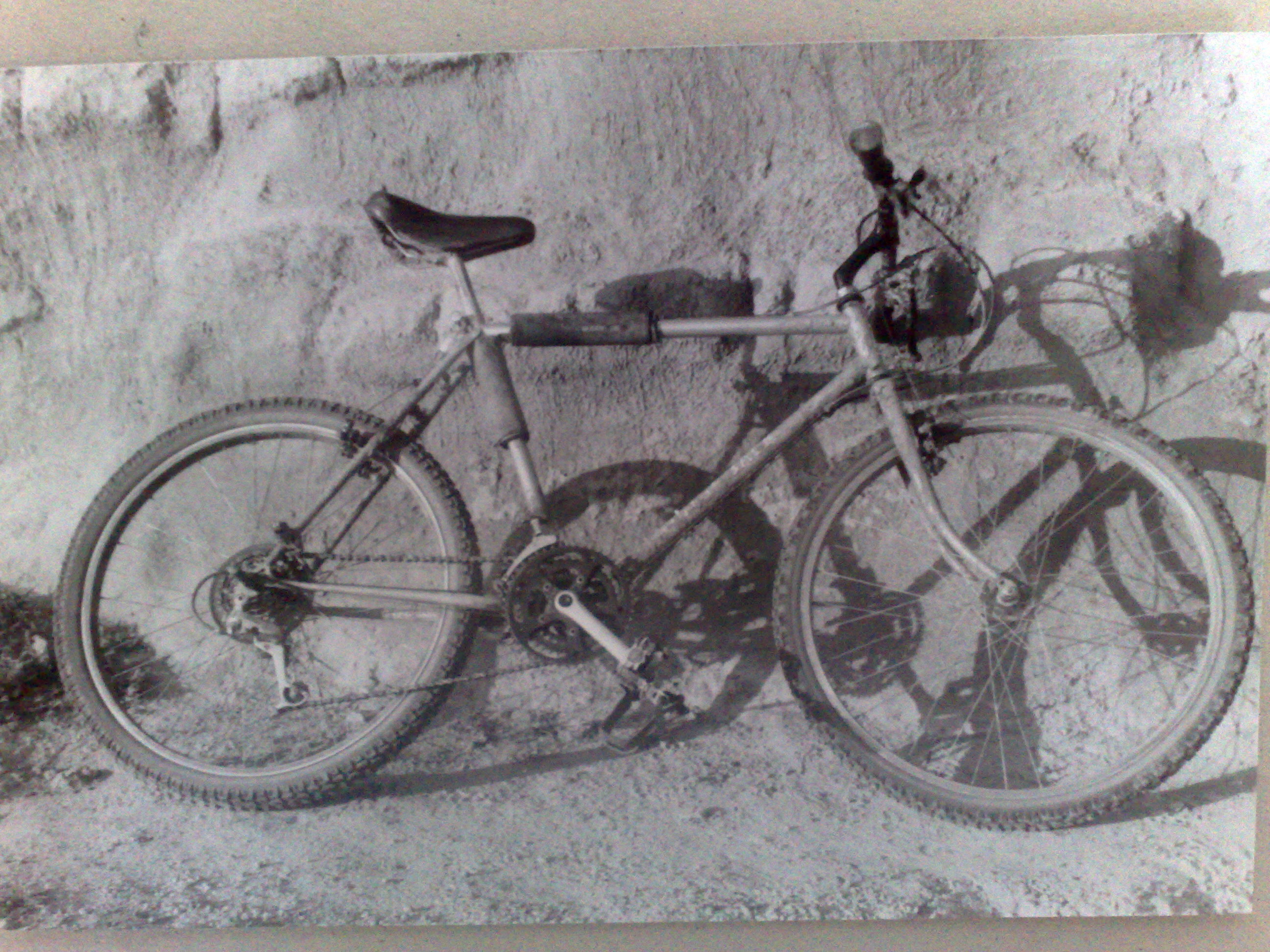 ridgeback