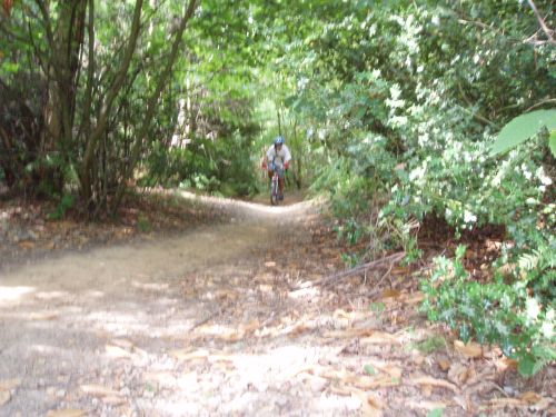 bedgley0605.jpg