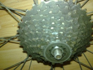 Image0096