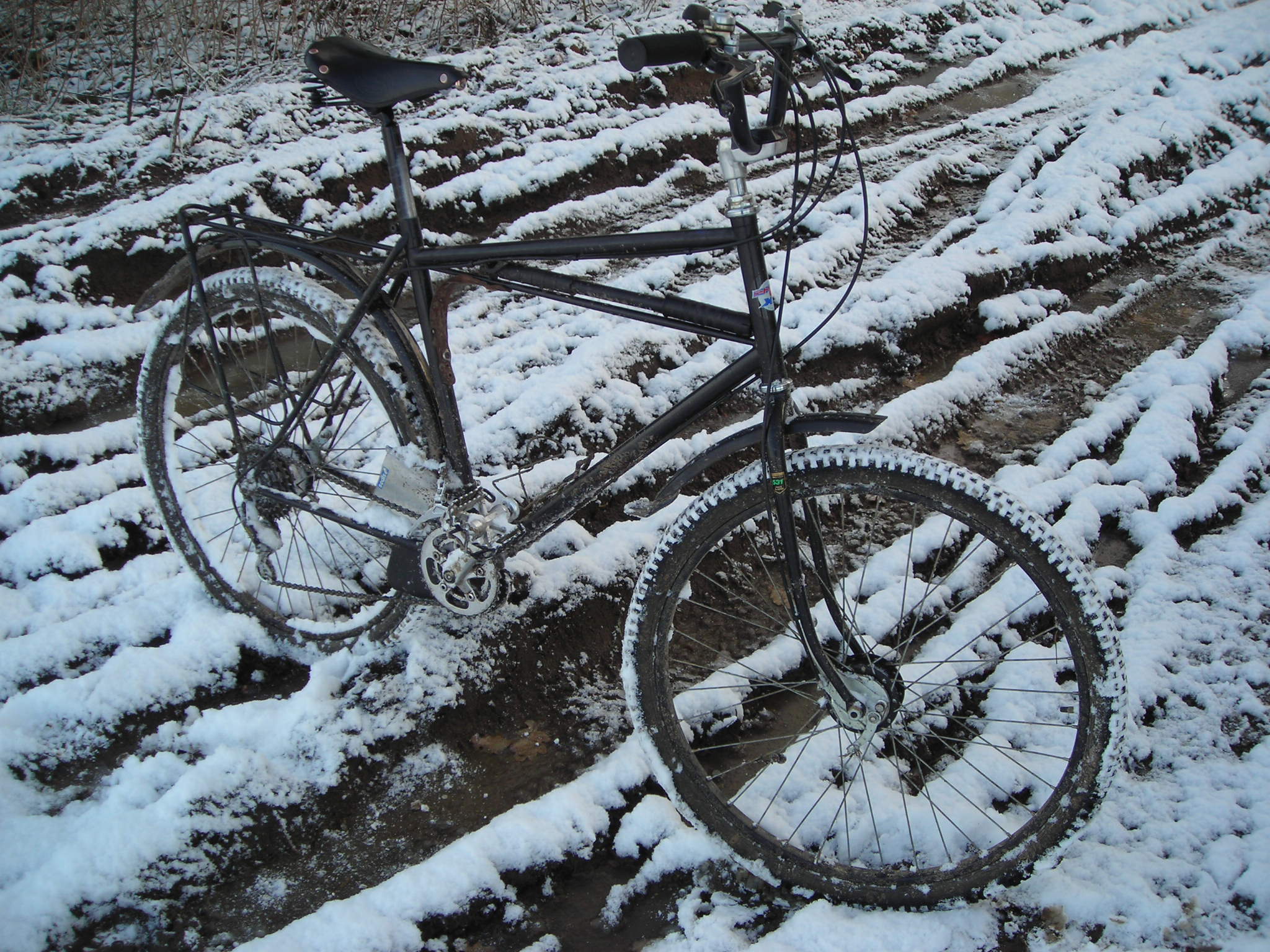 Winter005