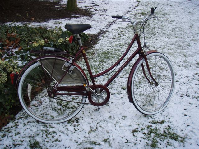 New bike