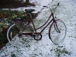 New bike