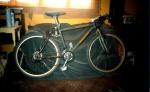 stumpy fsr 1994