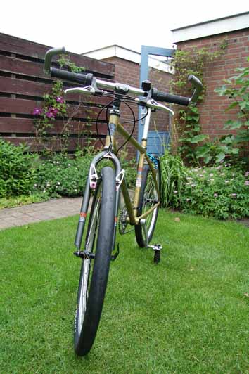 1996 Cinder Cone 558