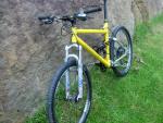 Yellow_flux