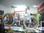 Ritchey Plexus