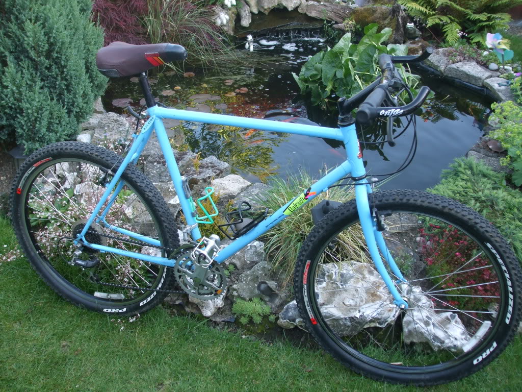 89 raleigh montage