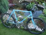 89 raleigh montage