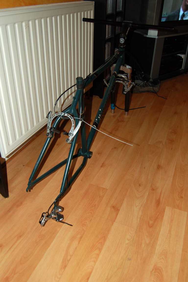 bonty-rear
