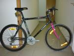 1991_liyang_at_650