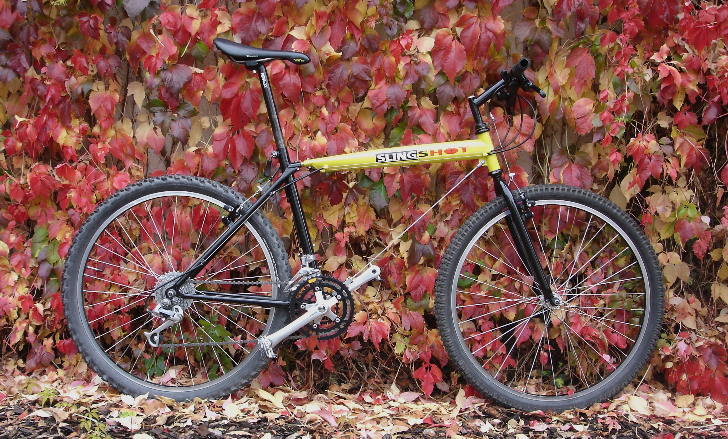mit decals 1