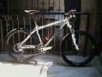 Papsy's Orange E8