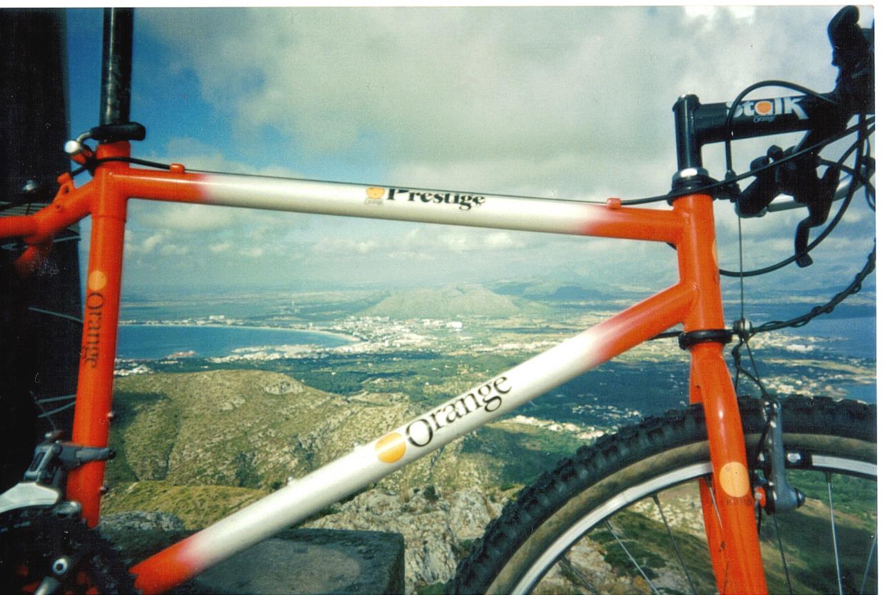 Orange in mallorca