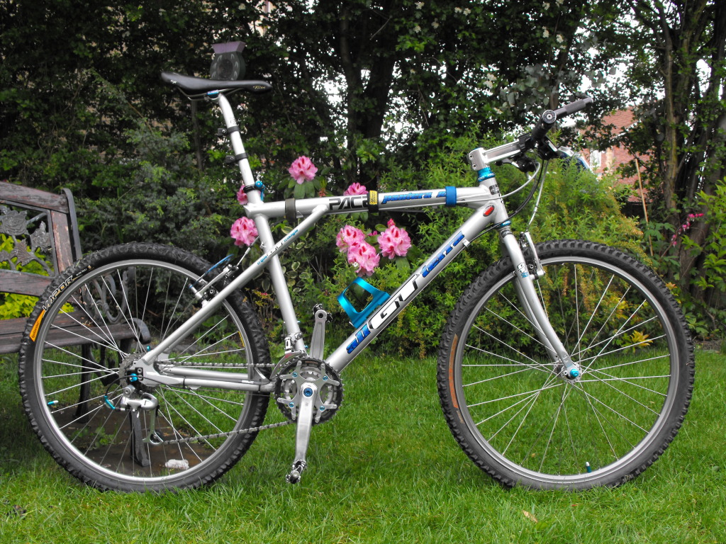 my 15 year old Pantera AL