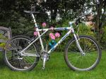 my 15 year old Pantera AL