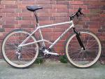 1990 Mammoth RC201